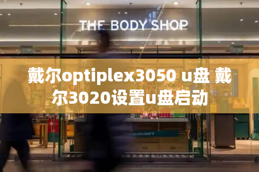 戴尔optiplex3050 u盘 戴尔3020设置u盘启动