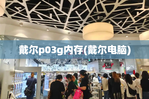 戴尔p03g内存(戴尔电脑)-第1张图片-星选测评