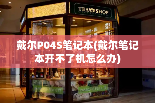 戴尔P04S笔记本(戴尔笔记本开不了机怎么办)