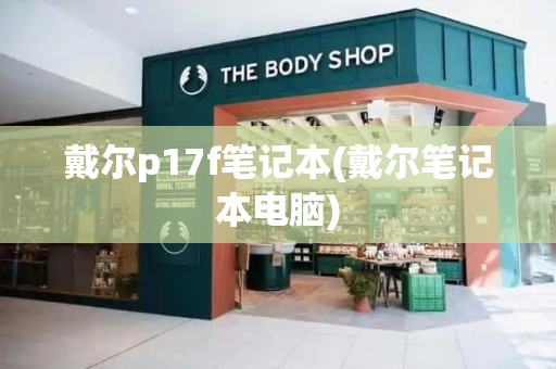 戴尔p17f笔记本(戴尔笔记本电脑)-第1张图片-星选测评
