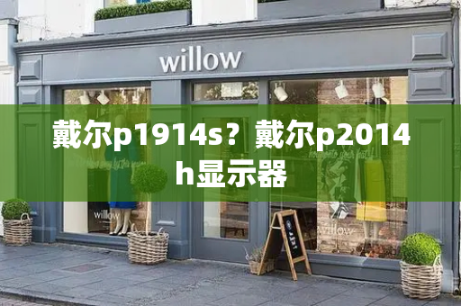 戴尔p1914s？戴尔p2014h显示器-第1张图片-星选测评