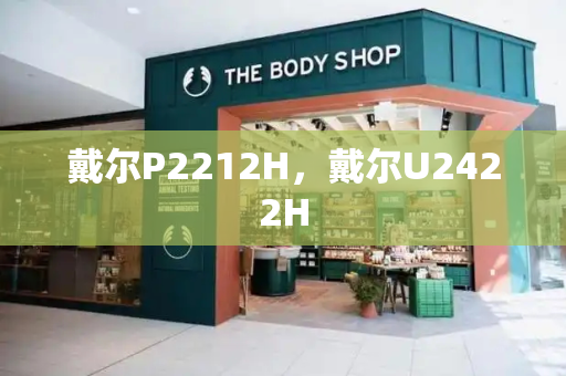戴尔P2212H，戴尔U2422H-第1张图片-星选测评