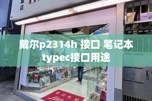 戴尔p2314h 接口 笔记本typec接口用途