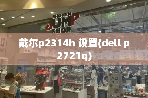 戴尔p2314h 设置(dell p2721q)