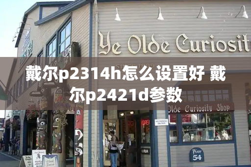 戴尔p2314h怎么设置好 戴尔p2421d参数-第1张图片-星选测评