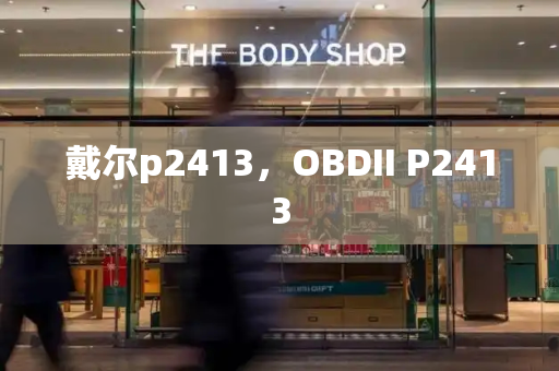 戴尔p2413，OBDII P2413-第1张图片-星选测评