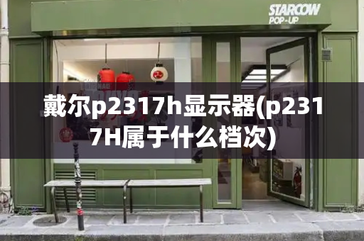 戴尔p2317h显示器(p2317H属于什么档次)