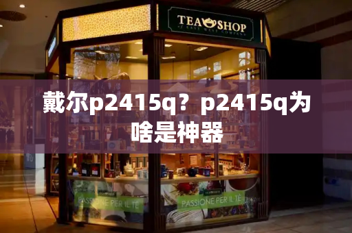 戴尔p2415q？p2415q为啥是神器-第1张图片-星选测评