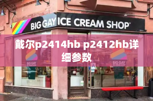 戴尔p2414hb p2412hb详细参数