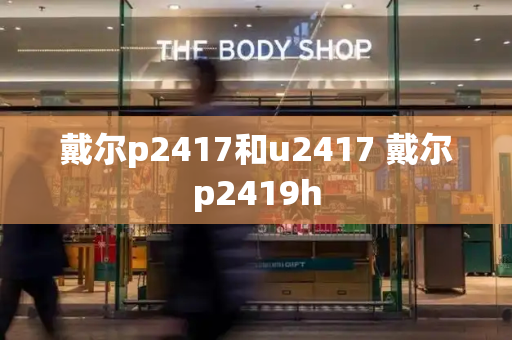 戴尔p2417和u2417 戴尔p2419h