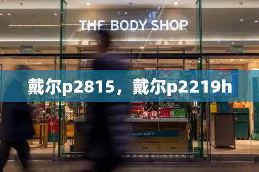 戴尔p2815，戴尔p2219h