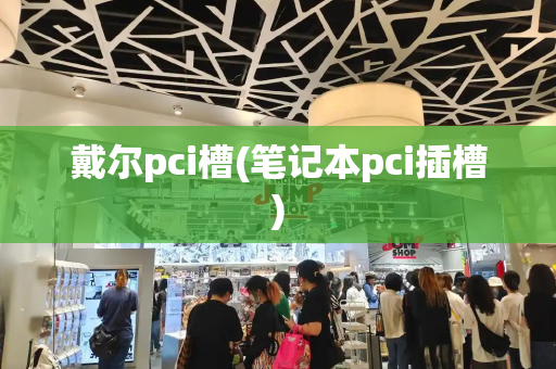 戴尔pci槽(笔记本pci插槽)