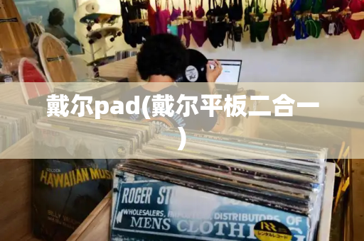 戴尔pad(戴尔平板二合一)