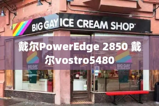 戴尔PowerEdge 2850 戴尔vostro5480