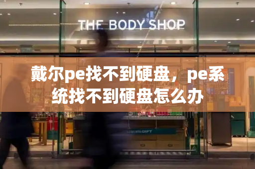 戴尔pe找不到硬盘，pe系统找不到硬盘怎么办-第1张图片-星选测评