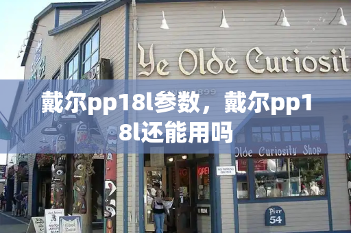 戴尔pp18l参数，戴尔pp18l还能用吗-第1张图片-星选测评