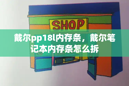 戴尔pp18l内存条，戴尔笔记本内存条怎么拆-第1张图片-星选测评