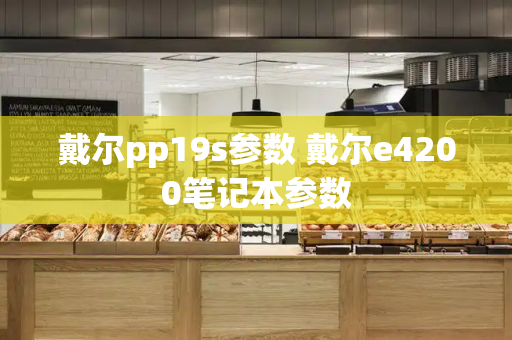 戴尔pp19s参数 戴尔e4200笔记本参数-第1张图片-星选测评
