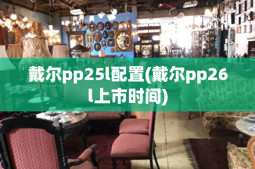 戴尔pp25l配置(戴尔pp26l上市时间)-第1张图片-星选测评