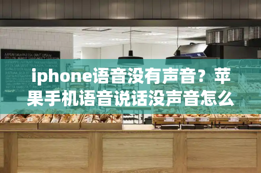iphone语音没有声音？苹果手机语音说话没声音怎么回事-第1张图片-星选测评