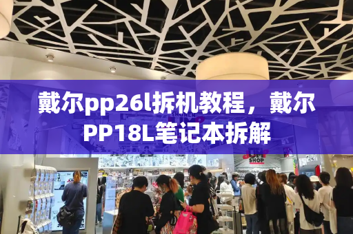戴尔pp26l拆机教程，戴尔PP18L笔记本拆解-第1张图片-星选测评