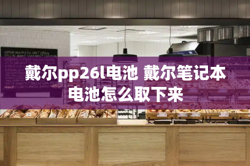 戴尔pp26l电池 戴尔笔记本电池怎么取下来