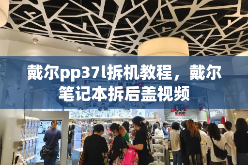 戴尔pp37l拆机教程，戴尔笔记本拆后盖视频