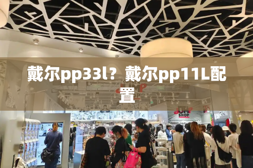 戴尔pp33l？戴尔pp11L配置