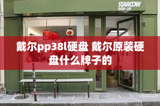 戴尔pp38l硬盘 戴尔原装硬盘什么牌子的