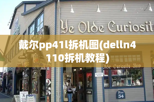 戴尔pp41l拆机图(delln4110拆机教程)