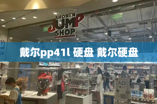 戴尔pp41l 硬盘 戴尔硬盘-第1张图片-星选测评