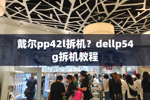 戴尔pp42l拆机？dellp54g拆机教程