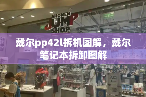 戴尔pp42l拆机图解，戴尔笔记本拆卸图解-第1张图片-星选测评