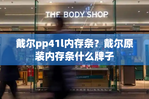 戴尔pp41l内存条？戴尔原装内存条什么牌子-第1张图片-星选测评