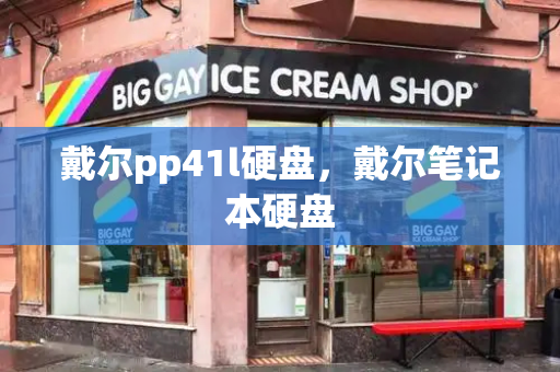 戴尔pp41l硬盘，戴尔笔记本硬盘-第1张图片-星选测评