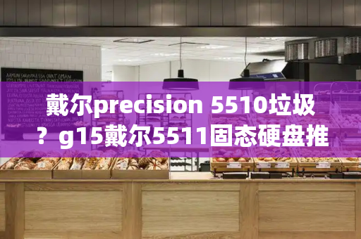 戴尔precision 5510垃圾？g15戴尔5511固态硬盘推荐