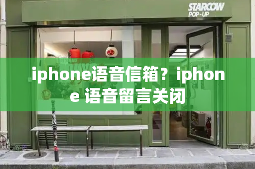 iphone语音信箱？iphone 语音留言关闭-第1张图片-星选测评