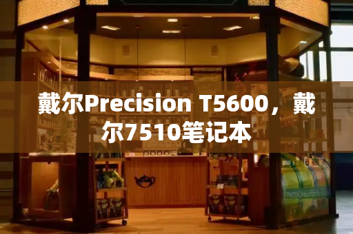 戴尔Precision T5600，戴尔7510笔记本-第1张图片-星选测评