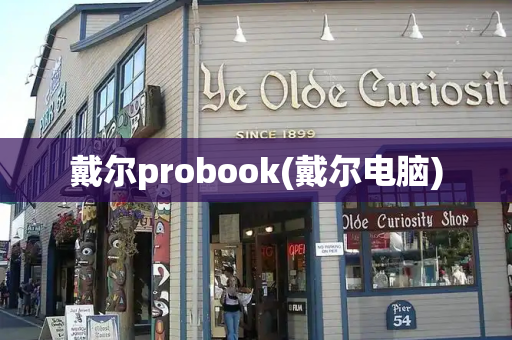 戴尔probook(戴尔电脑)-第1张图片-星选测评