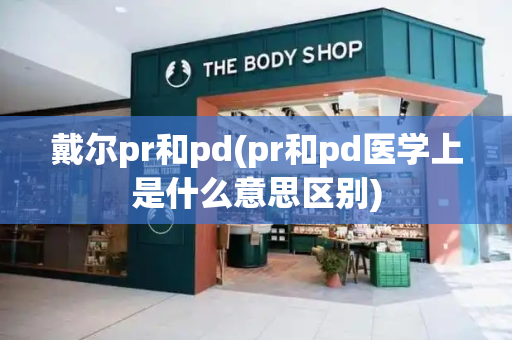 戴尔pr和pd(pr和pd医学上是什么意思区别)-第1张图片-星选测评