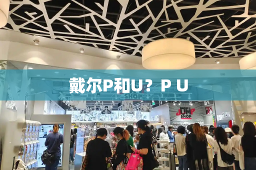 戴尔P和U？P U-第1张图片-星选测评