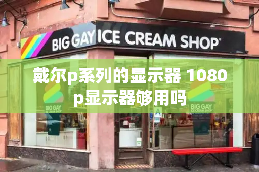 戴尔p系列的显示器 1080p显示器够用吗