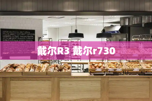 戴尔R3 戴尔r730-第1张图片-星选测评