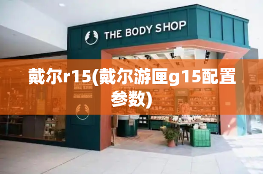 戴尔r15(戴尔游匣g15配置参数)-第1张图片-星选测评