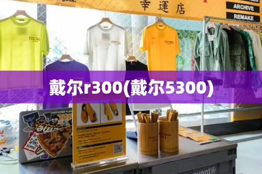 戴尔r300(戴尔5300)-第1张图片-星选测评