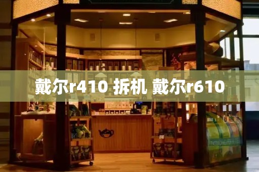 戴尔r410 拆机 戴尔r610