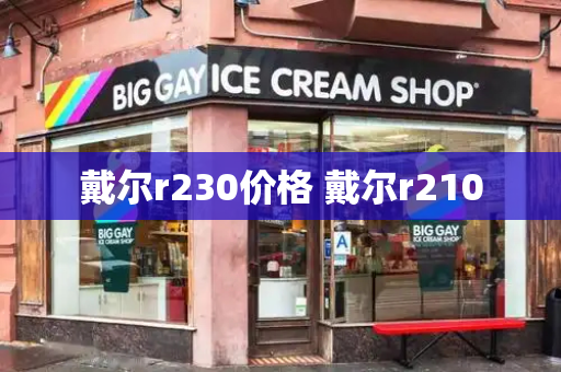 戴尔r230价格 戴尔r210-第1张图片-星选测评
