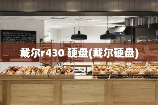戴尔r430 硬盘(戴尔硬盘)