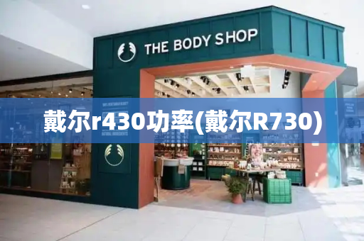 戴尔r430功率(戴尔R730)