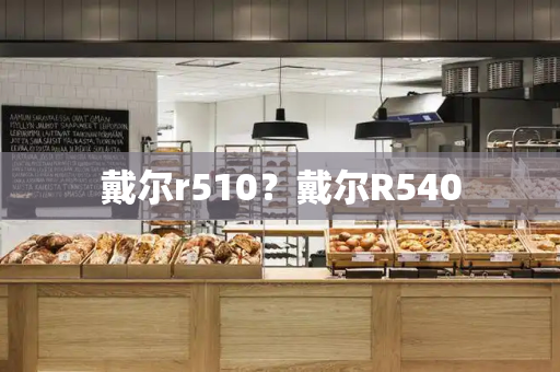 戴尔r510？戴尔R540